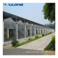 Hydroponic Systems Polycarbonate Greenhouse For Tomato